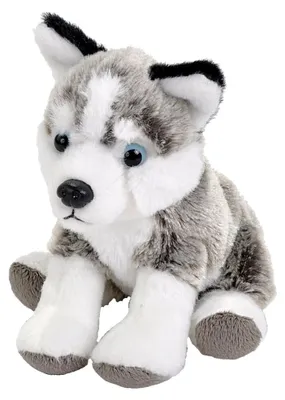 Produktbild von WILD REPUBLIC Pocketkins Husky Kuscheltier – 12 cm