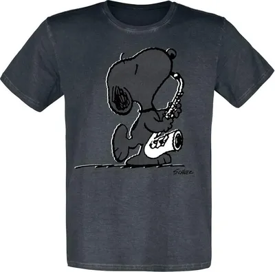 Produktbild von Peanuts T-Shirt Herren Snoopy schwarz XL
