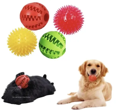 Hundespielzeug-Set, 4 Bälle, 5 cm, Leckerli- und Quietschbälle