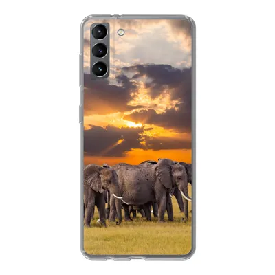 Produktbild von MuchoWow® Handyhülle Schutzhülle Hülle für Samsung Galaxy S21 Plus Elefant - Tiere - Gras - Sonnenuntergang - Natur Silikon Softcase Handy Hülle - Handy-Tasche