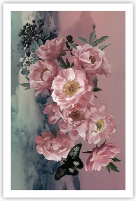 Produktbild von Poster - Poster ohne Rahmen - Blumen Schmetterling Wolken - 61x91,5 cm - Wand Bild - Wanddeko - Wandbilder - Kunstposter - Wandposter - Bilder - Kunstdruck - Wanddekoration - Wandbild P2XPA61x91-4881