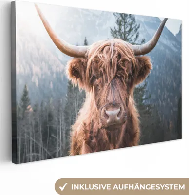 Obrázek produktu pro OneMillionCanvasses® - Plátno - Skotský horal - Kráva - Zvířata - Hora - Příroda, nástěnná malba, nástěnné dekorace obrázky do obývacího pokoje, 30x20cm