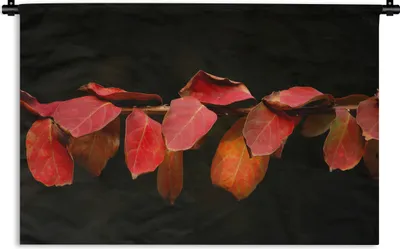 Produktbild von MuchoWow® Wandteppich Wandbehang Die roten Blätter auf schwarzem Hintergrund 90x60 cm Tapisserie Dekoration Wandtuch - Wandskulpturen - Bildteppich