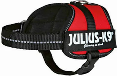 Obrázok produktu pre Julius-K9® Powerharnais® Baby 1–Mini 33–45 cm/18 mm červená
