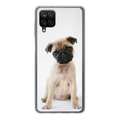 Produktbild von MuchoWow® Handyhülle Schutzhülle Hülle für Samsung Galaxy A12 Hund - Haustiere - Porträt Silikon Softcase Handy Hülle - Bild