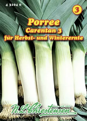 Produktbild von Porree Carentan 3 | Lauchsamen von N.L. Chrestensen