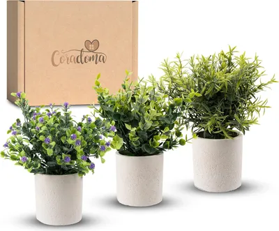 Produktbild von Künstliche Pflanzen 3er Set Kunstpflanzen im Topf | Wohnzimmer Deko Kunstblume