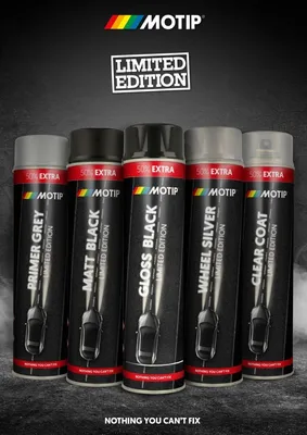 Produktbild von Grundierung Rallye 600Ml Motip