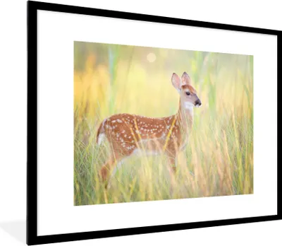 Produktbild von MuchoWow® Gerahmtes Poster Hirsche - Gras - Grün 80x60 cm - Poster mit Schwarzem Bilderrahmen Wandposter Rahmen Foto Bilder - Schlafzimmer-Dekorationen - Fotoposter