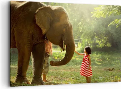 Produktbild von Bild auf Leinwand - Leinwandbild - Elefant Tier - 100x70cm - Wand Bild - Wanddeko - Wandbilder - Leinwanddruck - Bilder - Kunstdruck - Wanddekoration - Leinwand bilder - Wandkunst - AA100x70-3884