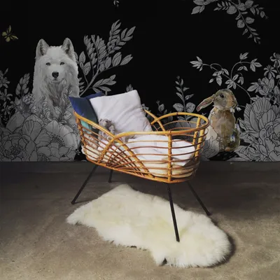 Produktbild von Coloray Fototapete 360x250 cm Vlies-Fototapete - Wald Wildtiere Fairytale Zimmer