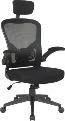 Produktbild von Bürostuhl DARYA schwarz, ergonomisch, TILT-Mechanismus, verstellbar, 66x60x116 cm, Sitzhöhe 47-57 cm