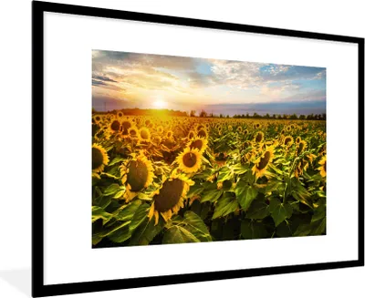 Produktbild von MuchoWow® Gerahmtes Poster Blumen - Sonnenblume - Himmel 90x60 cm - Poster mit Schwarzem Bilderrahmen Wandposter Rahmen Foto Bilder - Wanddekoration - Fotos