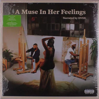 Obrázek produktu pro Dvsn: A Muse In Her Feelings - - (Vinyl / Rock (Vinyl))