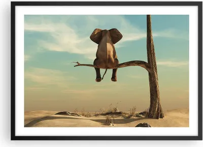 Produktbild von Gerahmtes Poster - Schwarzer Rahmen - Elefant sitzend Ast - 70x50 cm - Wand Bild - Wanddeko - Wandbilder - Kunstposter - Wandposter - Bilderrahmen - Bilder - Kunstdruck - P2BAA70x50-4557