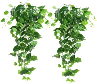 Produktbild von 2 Stück Künstliche Grüne Hängende Scindapsus Blätter, Gefälschte Ivy Hängende Girlanden für Hochzeit Hausgarten Wanddekoration (2 Stück)