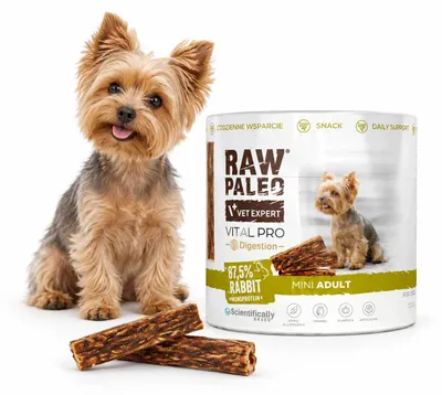 Obrázek produktu pro Pamlsek pro psy VetExpert RawPaleo VitalPro, podpora trávení, králík, mini, 100 g, Obrázek vytvořený pomocí AI