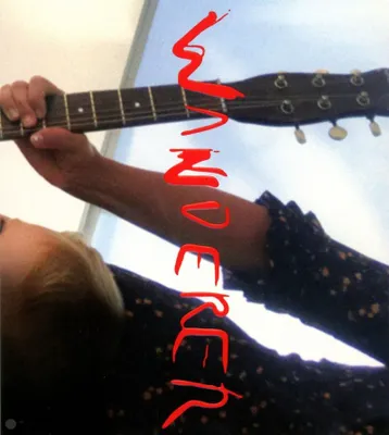 Immagine prodotto di Viandante