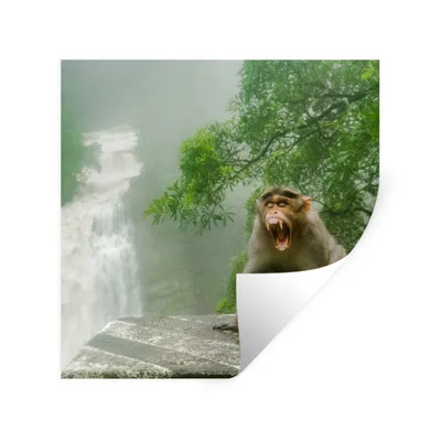 Produktbild von MuchoWow® Wandtattoo Wandsticker Wandaufkleber Schreiender Affe vor Wasserfall 100x100 cm Selbstklebend und Repositionierbar - Wierderverwendbar - Selbstklebend