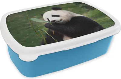Obrázek produktu pro KitchenYeah® Lunchbox Box na svačinu 17x11 cm Medvídek Panda - Divoká zvířata - Listy Dětský svačinový box - Oběd - Plastový - Chlebník - Sendvičový box - Box na oběd pro děti