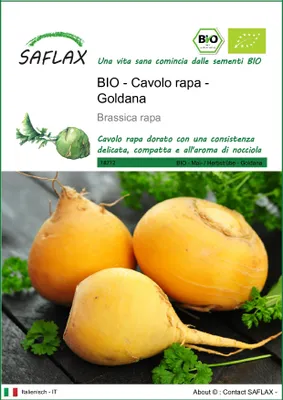 Immagine prodotto di SAFLAX  -- Cavolo rapa - Goldana - 500 semi - Brassica