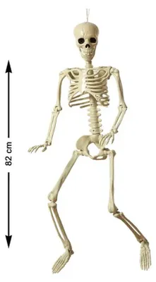 Productafbeelding van Halloween-decoratie: skelet, 82 cm