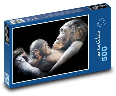 Zdjęcie produktu dla Puzzle 500 Szympans - mama i młode - martinpuzzle