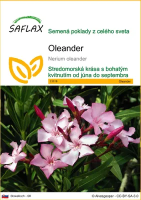 Obrázok produktu pre SAFLAX - oleander - Nerium oleander - 50 Semená