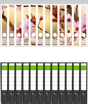 Produktbild von Wallario 12 Stück schmale Ordner inkl. Klebeetiketten mit Motive Frühlingsgefühle I - Kirschblüten in Nahaufnahme -  Set mit Rückenschildern / Ordnerrücken Stickern