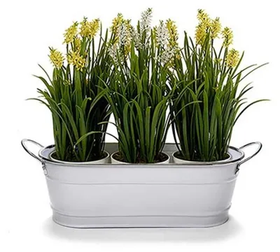 Produktbild von Arte r Pflanzentopf/Blumentopf teil- Zink - weis - L32,5 x D10,5 x H11 cm