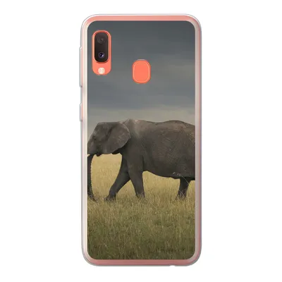 Produktbild von MuchoWow® Handyhülle Schutzhülle Hülle für Samsung Galaxy A20e Elefant - Savanne - Tiere - Natur Silikon Softcase Handy Hülle - Abdeckung