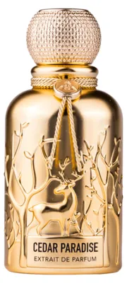 Produktbild von Auraa Desire, Cedar Paradise, Extrait De Parfum, fü r Herren, 100 ml
