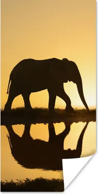 Produktbild von MuchoWow® Poster Silhouette eines Elefanten bei Sonnenuntergang 80x160 cm - Kinderzimmer