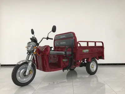 Produktbild von Eborn Cargo Cat 2-F V2 (45 km/h) - Rot