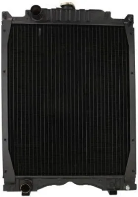 Obrázek produktu pro Chladič, chlazení motoru THERMOTEC D7AG046TT