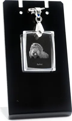 Obrázek produktu pro Barbet - Křišťálový přívěsek se psem, náhrdelník s fotografií, jedinečné šperky od Art-Dog