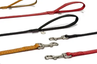 Produktbild von Beeztees 744975, Hund, Standardleine, Schwarz, Band, Einfarbig, Nylon