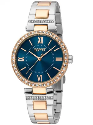 Obrázek produktu pro Hodinky Esprit ES1L327M0105 stříbrné