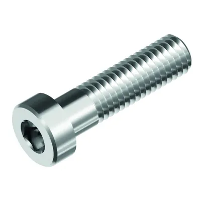 Produktbild von Schäfer + Peters GmbH Innensechskantschrauben DIN 6912, Edelstahl A2, M 10 x 60, Ant.gr. 8