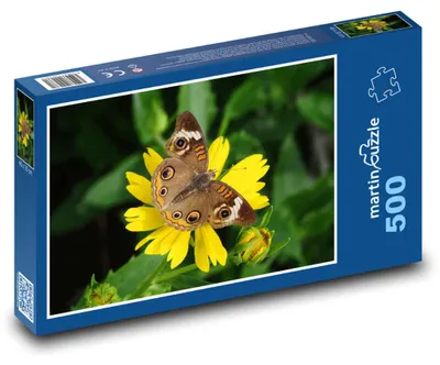 Zdjęcie produktu dla Puzzle 500 Motyl na kwiatku - martinpuzzle