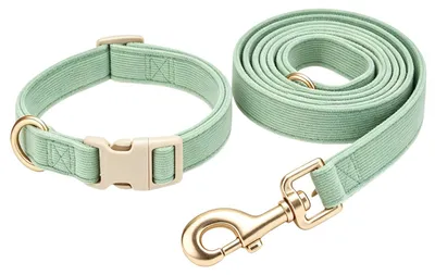 Image de Harnais et laisse pour chien - Réglable et doux, idéal pour les chiens de taille moyenne