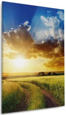 Produktbild von Wallario Premium Leinwandbild Feldweg in den Sonnenuntergang in Größe 60 x 90 cm