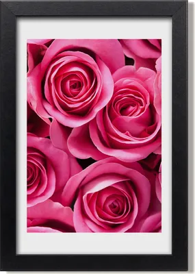 Produktbild von Bild 20x30 MDF-Rahmen, Wandkunst Rosa Rosen