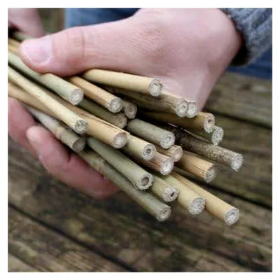 Produktbild von 500 Bambusstäbe - Tonkinstäbe 90 cm lang / 6-8 mm Durchmesser