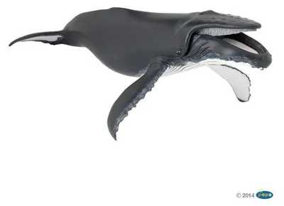 Immagine prodotto di Papo 56001 statuetta megattera