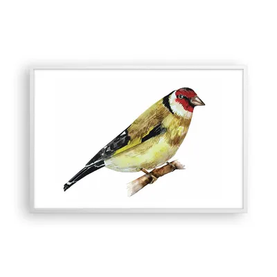 Produktbild von Gerahmtes Poster - Weißer Rahmen - Stieglitz Vogel Aquarell - 91,5x61 cm - Wand Bild - Wanddeko - Wandbilder - Kunstposter - Wandposter - Bilderrahmen - Bilder - Kunstdruck - Wandbild P2WAA91x61-4179