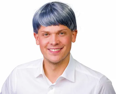 Produktbild von Herrenperücke Paul, grau Karneval