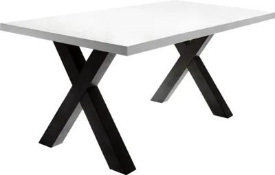 Produktbild von Esszimmertisch Eike 8 140 x 90 x 75 Esstisch Schwarzstahl/Weiß Matt Lack 13454-140