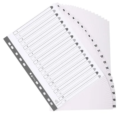 Immagine prodotto di EXACOMPTA MWD1-20Z EXACOMPTA Karton-Register 1-20, DIN A4, weiß, 20-teilig