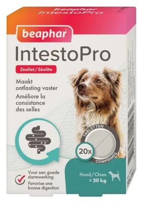 Image de Beaphar Intestopro Chien